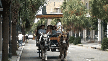 Hotels Near International African American Museum - - Carriage Tour